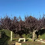 Σπίτι διακοπών Maison De L'olivier