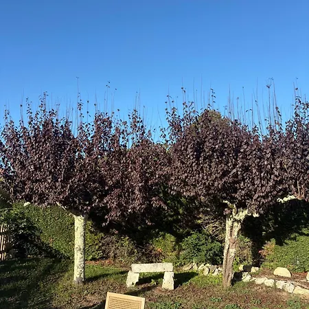 Hébergement de vacances Maison De L'olivier