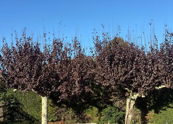 Feriehus Maison De L'olivier